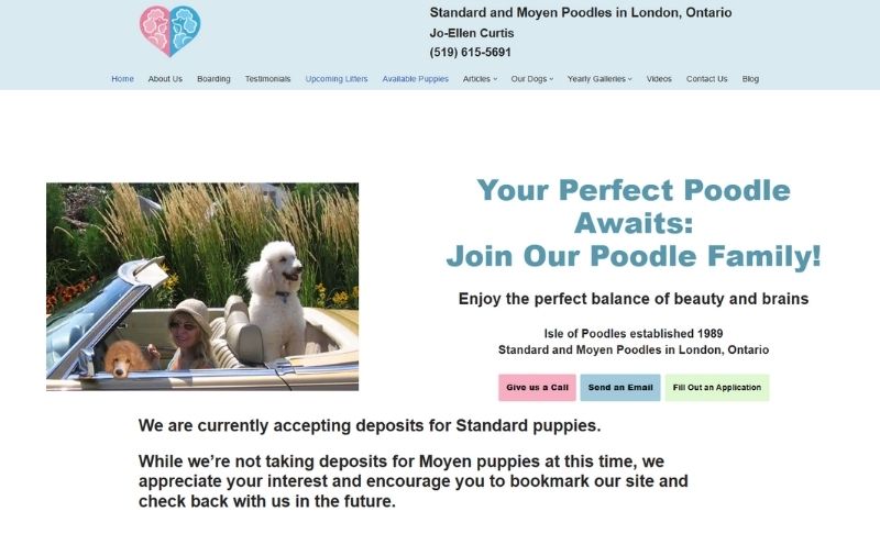 joellen poodles